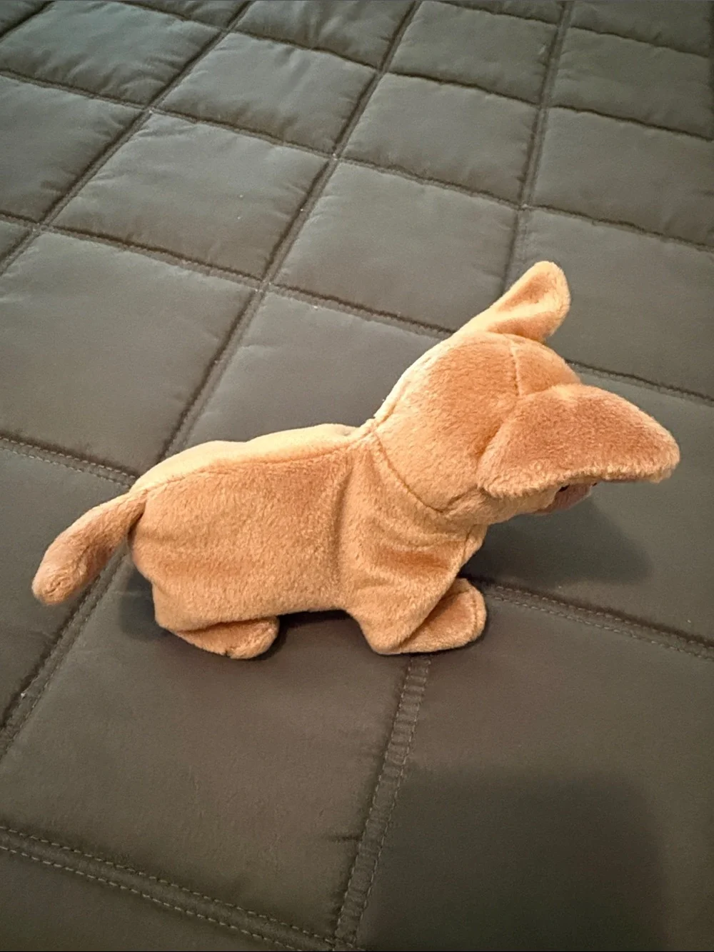 TY VINTAGE 1999 BEANIE BABY 